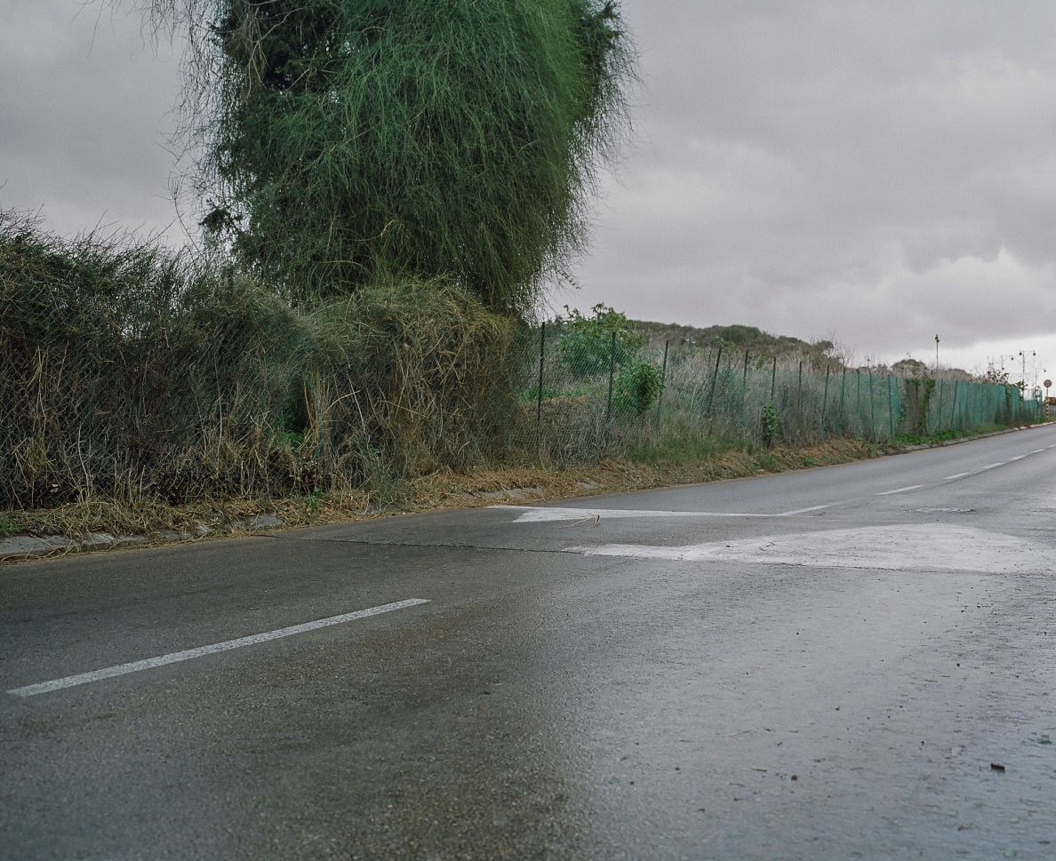 Road bump
